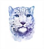 Leopard Wild Cat