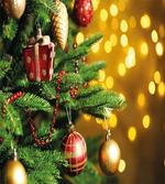 Close up Tree Blurred