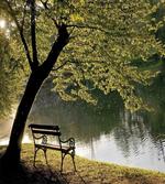 Resting at Riverside
