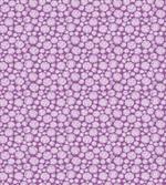 Blot Circle Geometric