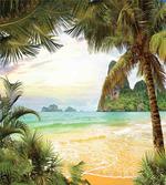 Palm Coconut Trees Beach