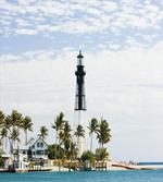 Lighthouse Palms