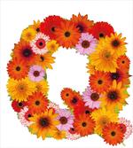 Romantic Florets Q