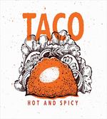 Hot and Spicy Tacos