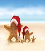 Santa Starfishes artwork