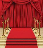Carpet Gala Stage Curtain