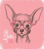 Girl Chihuahua Sketch Words