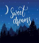 Dreams Night Wish