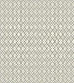 Primitive Latticework