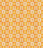 Citrus Fruit Slices
