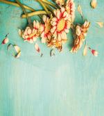 Gerbera Bunch Blue artwork