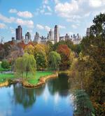Central Park Autumn