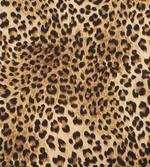 Wild Animal Skin