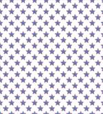 USA Flag Star Nation