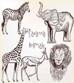 Wild Lion Zebras artwork
