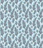 Coral Seaweed
