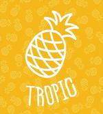Exotic Pineapple Summer