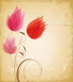 Hazy Red Flowers Nature