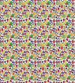 Colored Drawing of Fruits artwork