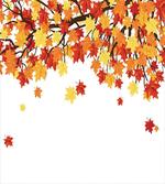Romantic Fall Season