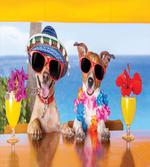 Tropic Summer Dog Friends