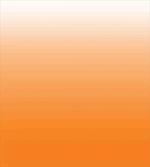 Sunset Summer