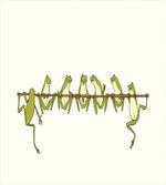 Frogs Hanging to a Stick