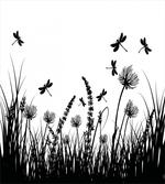 Grass Bush Meadow Spring