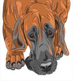 Sad Looking Dog Cartoon