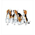 4 Beagle Hounds Play