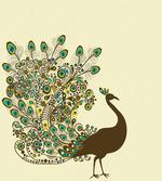 Peacock Bird Profile