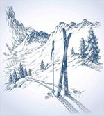 Ski Sport Mountain View