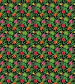 Colorful Summer Foliage