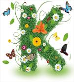 Nature Inspired Image
