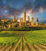 San Gimignano Vineyards artwork