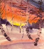 Sundown in Birch Jungle