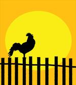 Rooster Silhouette Sunrise