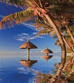 Palm Trees Calm Ocean