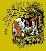 Hunting Dog Woods