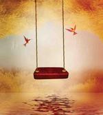 Hummingbird Peace