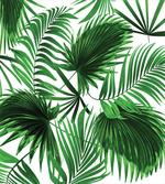 Vivid Leaves Growth