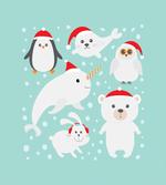 Seal Owl and Penguin