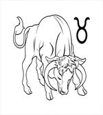 Hand Drawn Bull artwork