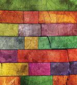 Rainbow Timber Art
