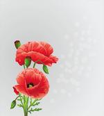 Fresh Bridal Romantic