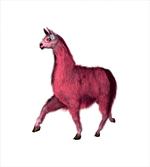 Pink Abstract Animal