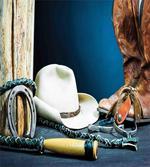 Horseshoe Hat Antique