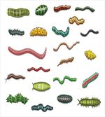 Cartoon Caterpillar