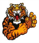Cartoon Angry Wild Cat