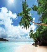 Palm Leaf Island Lagoon
